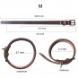 Dog Leather Training Collar with Name Tag for Small Medium Large Doggy (M)