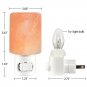 Himalayan Salt Plug in LED Night Light Wall Lamp Nightlight Multi Color Changing