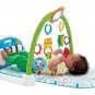 Baby Gym Floor Play Mat Activity Center Fisher Price Shakira Limited Edition
