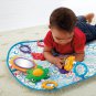Baby Gym Floor Play Mat Activity Center Fisher Price Shakira Limited Edition