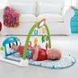 Baby Gym Floor Play Mat Activity Center Fisher Price Shakira Limited Edition