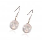 Natural Dried Dandelion Seed  Silver Crystal Ball Dangle Earrings