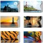 16 RFID Blocking Sleeves In Fun Realistic Designs! (12 Credit Card Holders And