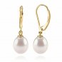 14K Yellow Gold Plated Shell Pearl Leverback Huggie Drop Earring AAA+ Quality