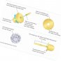 14k Gold Plated Brass Turtle Cubic Zirconia Screwback Baby Girls Earrings
