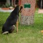 Anti Barking Device, Mini Bark Control Device Outdoor Anti Barking Dog