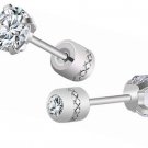 Stainless Steel Cubic Zircon Screw Setting Stud Earrings