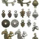 Squirrel Acorn Charms-100g (about 65-70pcs) Craft Supplies Mixed Pendants Beads