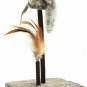 Mouse Feather Interactive Motion Cat Toy, 3 In 1 Fun Swing Spring Teaser