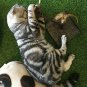 Mouse Feather Interactive Motion Cat Toy, 3 In 1 Fun Swing Spring Teaser