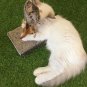 Mouse Feather Interactive Motion Cat Toy, 3 In 1 Fun Swing Spring Teaser