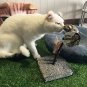 Mouse Feather Interactive Motion Cat Toy, 3 In 1 Fun Swing Spring Teaser