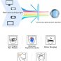 MEETSUN Blue Light Blocking Glasses Nerd Eyeglasses Clear Frame,Anti Blue For +