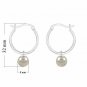 925 Sterling Silver Hoop Earring Shell Pearl Earring