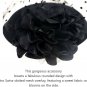 DRESHOW Fascinators Hat Flower Mesh Ribbons Feathers On A Headband And A Clip /