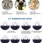 Rainco No Bark Collar, Anti Bark Collar Control Training Lesh With No Harm And