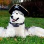 Rainco No Bark Collar, Anti Bark Collar Control Training Lesh With No Harm And