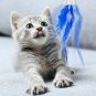 IsYoung Accessory For Cat Teasing Toy Electric Mute Trainning Toy Cat Kitten