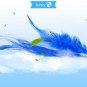 IsYoung Accessory For Cat Teasing Toy Electric Mute Trainning Toy Cat Kitten