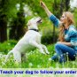 Dog Whistle Adjustable High Frequency Ultra-Sonic Barking Control Tool