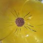 Handpainted Porcelain Yellow Flower with Grapes in Center by Lucy