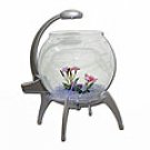 Globe Aquarium and Blue LED Light