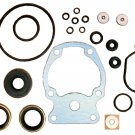 Lower Gear Case Seal Kit for Johnson Evinrude 20-35 HP (TM2658)