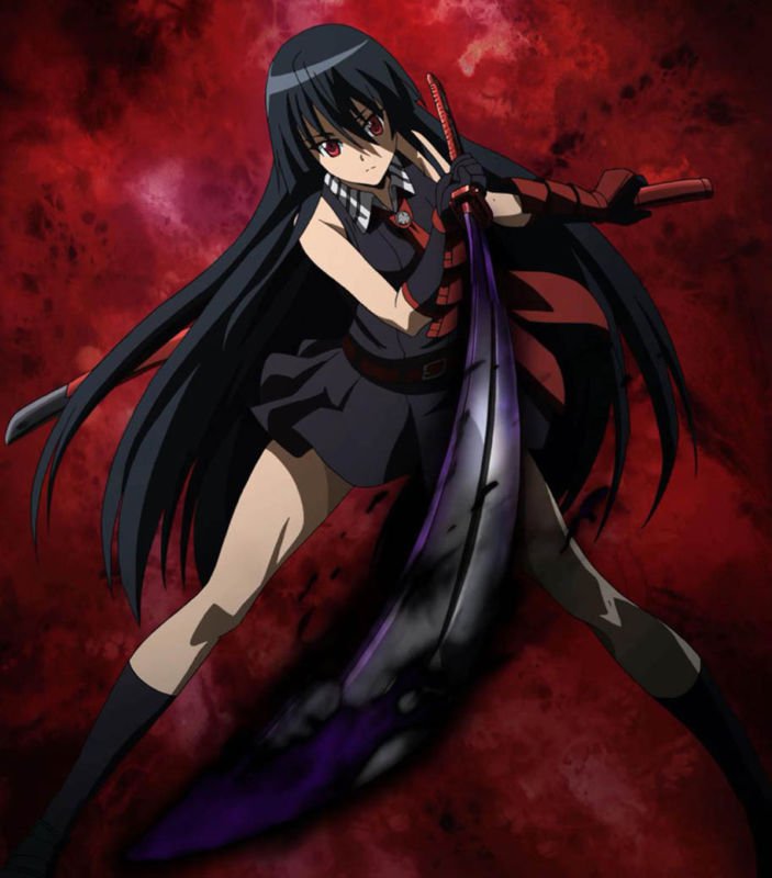 Akame Ga Kill Anime Art 32x24 Poster Decor 