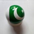 New Flag of Pakistan 156 GM Conforming to MCC Regulation leather cricket ball
