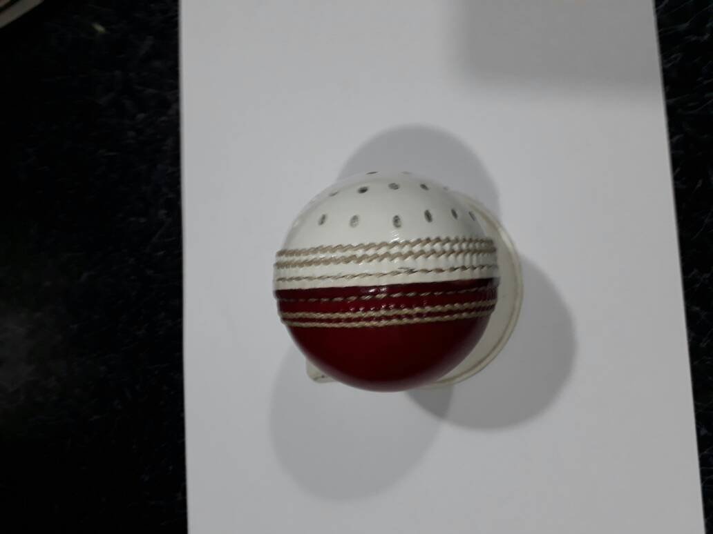 New Red & White Reverse Swing Practice Conforming to MCC Regulation leather cricket ball