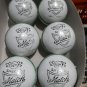 New White special Match 156 GM MCC Regulation leather cricket balls pack of 6 for 30 overs