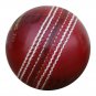 New Red Trainer 156 GM MCC Regulation leather cricket balls pack of 6 best for T20 match