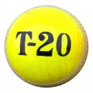 New Green T20  156 GM MCC Regulation leather cricket balls pack of 6