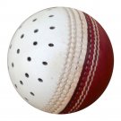 New Red & White Reverse Swing Practice Ball Conforming to MCC Regulation leather cricket ball