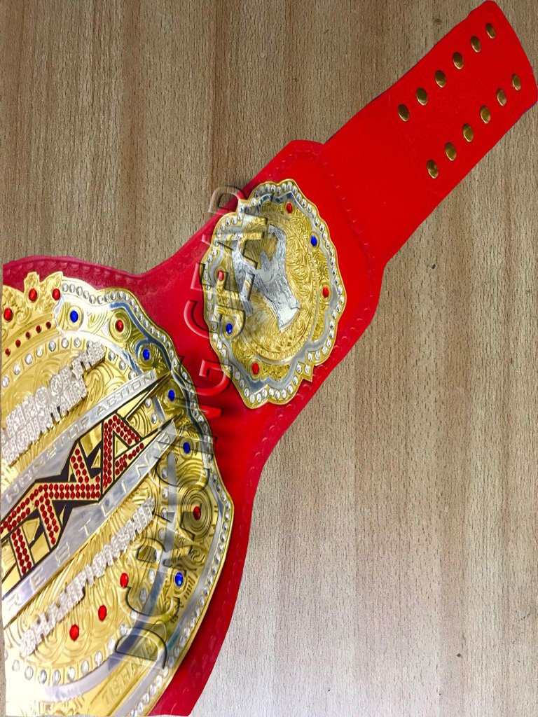 tna championship toy belt