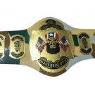 ROH RING OF HONOR JAY BRISCOE WRESTLING CHAMPIONSHIP BELT ADULT SIZE