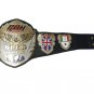 ROH RING OF HONOR WORLD WRESTLING CHAMPIONSHIP BELT ADULT SIZE
