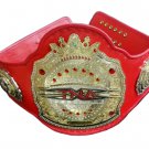 TNA LEGENDS WRESTLING CHAMPIONSHIP BELT ADULT SIZE