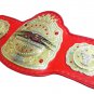 TNA LEGENDS WRESTLING CHAMPIONSHIP BELT ADULT SIZE