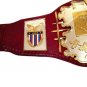 AWA WORLD HEAVYWEIGHT WRESTLING CHAMPIONSHIP BELT ADULT SIZE OX BLOOD LEATHER STRAP