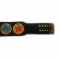 TEXAS HEAVYWEIGHT WRESTLING CHAMPIONSHIP BELT ADULT SIZE