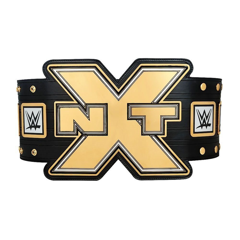 NXT 2014 WRESTLING CHAMPIONSHIP BELT BLACK LEATHER STRAP ADULT SIZE