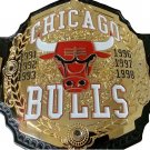 CHICAGO BULLS WRESTLING CHAMPIONSHIP BELT ZINC PLATED BLACK LEATHER STRAP ADULT SIZE