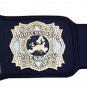 INDEPENDENT WRESTLING CHAMPIONSHIP LEATHER STRAP BELT ADULT SIZE