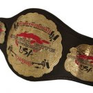 USA DRAGON GATE OPEN THE FREEDOM GATE PRO WRESTLING CHAMPIONSHIP BELT ADULT SIZE