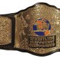 CW SQUARED CIRCLE WRESTLING HEAVYWEIGHT CHAMPIONSHIP BELT ADULT SIZE