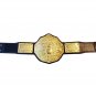 FANDU BIG GOLD CM PUNK WRESTLING CHAMPIONSHIP BELT BLACK LEATHER STRAP ADULT SIZE