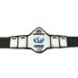 WCW WORLD TELEVISION WRESTLING CHAMPIONSHIP BELT ADULT SIZE