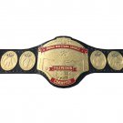 WWC WORLD WRESTLING COUNCIL TELEVISION WRESTLING CHAMPIONSHIP BELT ADULT SIZE