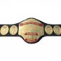WWC WORLD WRESTLING COUNCIL TELEVISION WRESTLING CHAMPIONSHIP BELT ADULT SIZE
